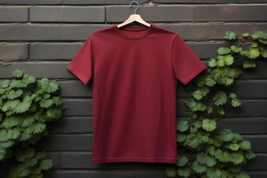 V Neck Tshirt